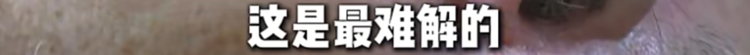 樊振东，正式亮相杜塞尔多夫