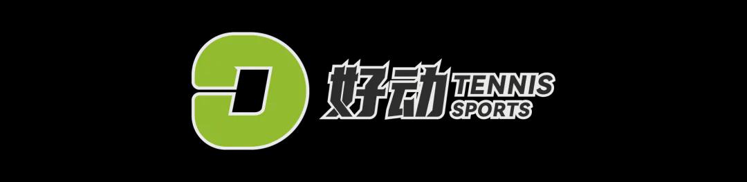 一个位置获得巨大提升，法国比四年前强了一个档次吗？