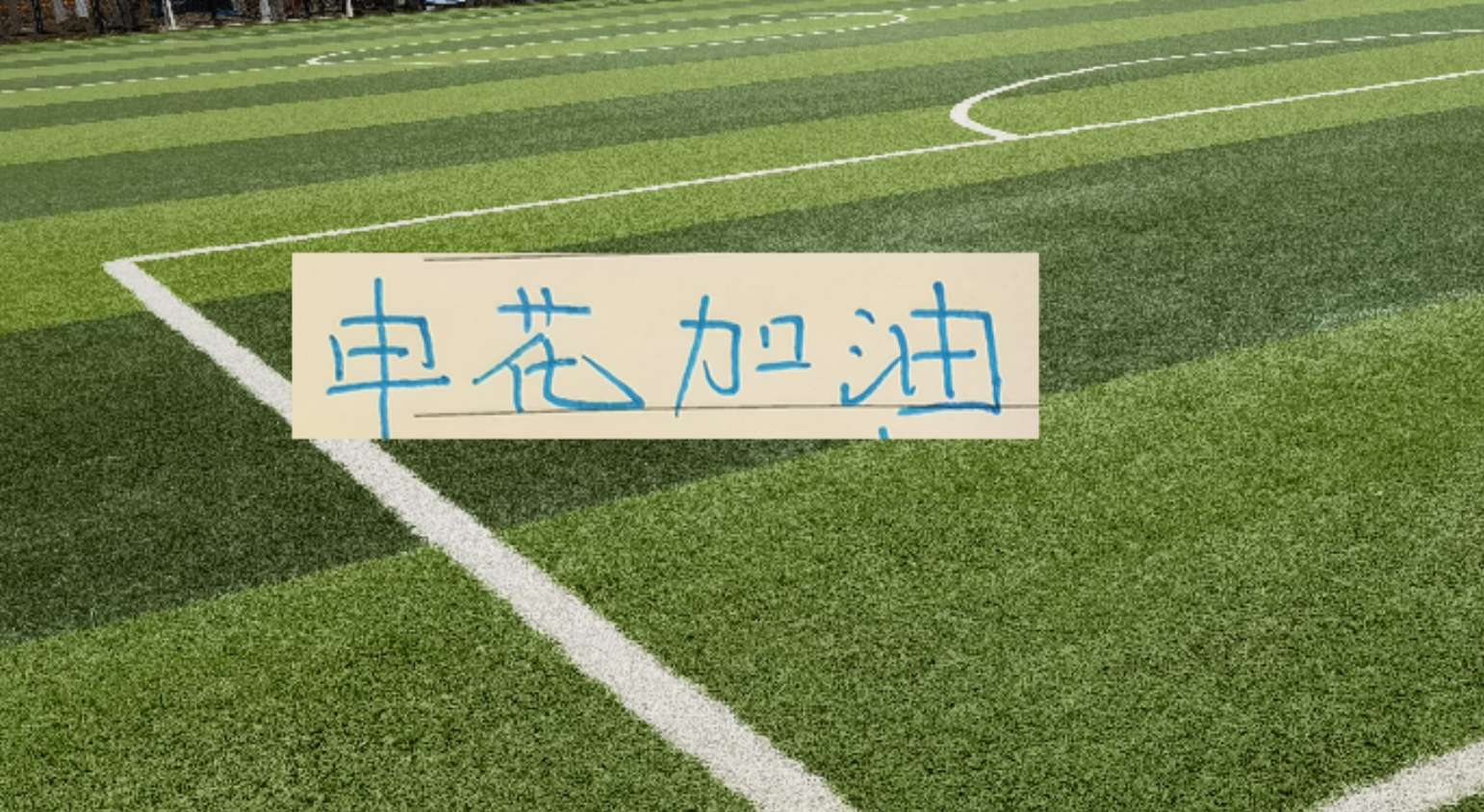 依然无缘世界杯首胜，埃及是世界杯参赛场次第二多的0胜球队